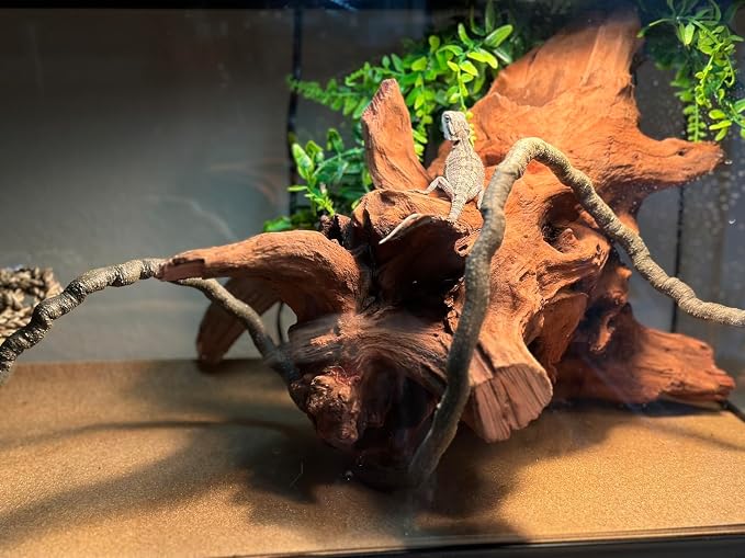 PINVNBY Large Driftwood for Aquarium Fish Tank Decorations Natural Assorted - Image 7