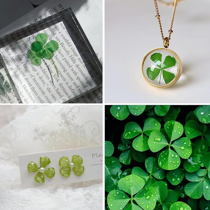 48 Pcs Mix Natural Dried Pressed 4 Leaf Clover - Image 5