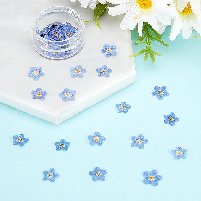 Nuanchu Natural Forget-me-not Dried Flowers Don't Forget Me Dried Real Pressed - Image 7