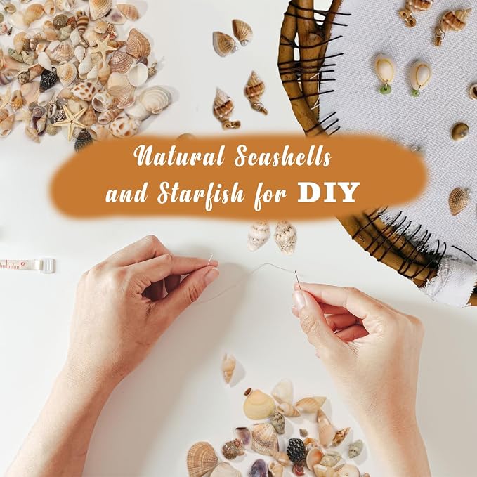 1200 PCS Natural Seashells, Joyfulmap Tiny sea Shells & Small Starfish - Image 7