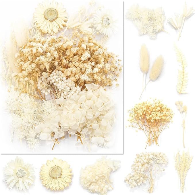 Vignee Real Dried Pressed Leaf Flowers-Multiple Colorful Pressed Flowers Daisies by Vignee