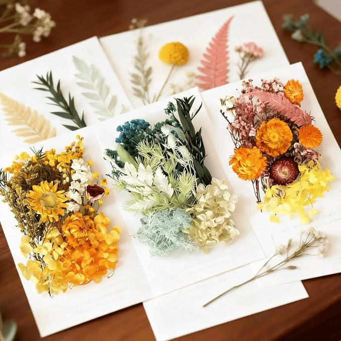 2PCS Dried Flowers Kit, Natural Dried Flowers Kit - Image 2