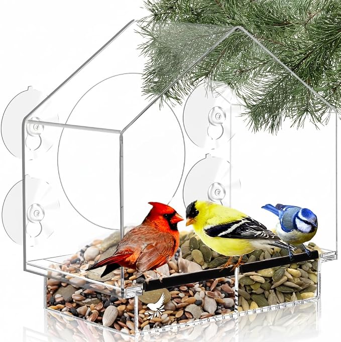 Clear Bird Feeders for Window Viewing Inside by NaturesHangout