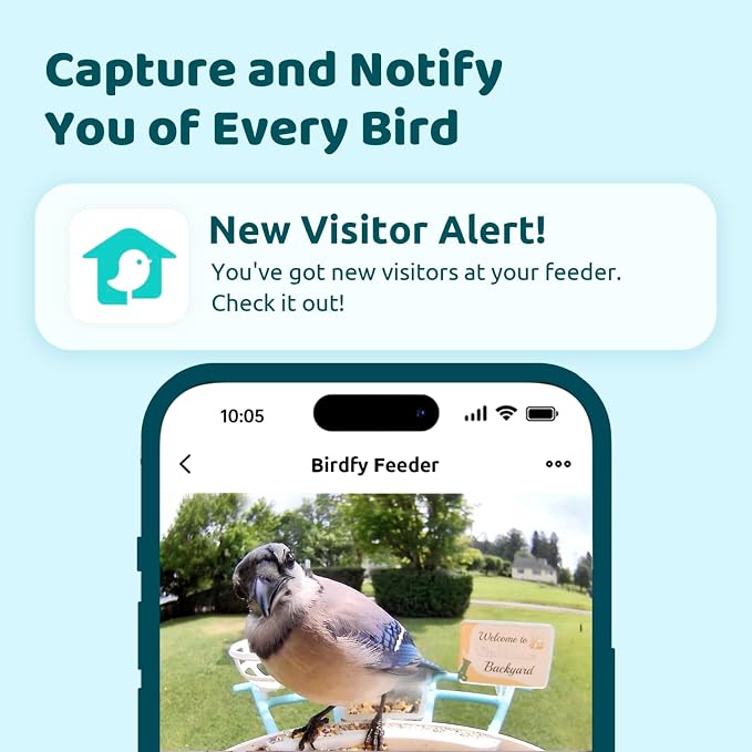NETVUE by Birdfy Smart Bird Feeder - Image 2