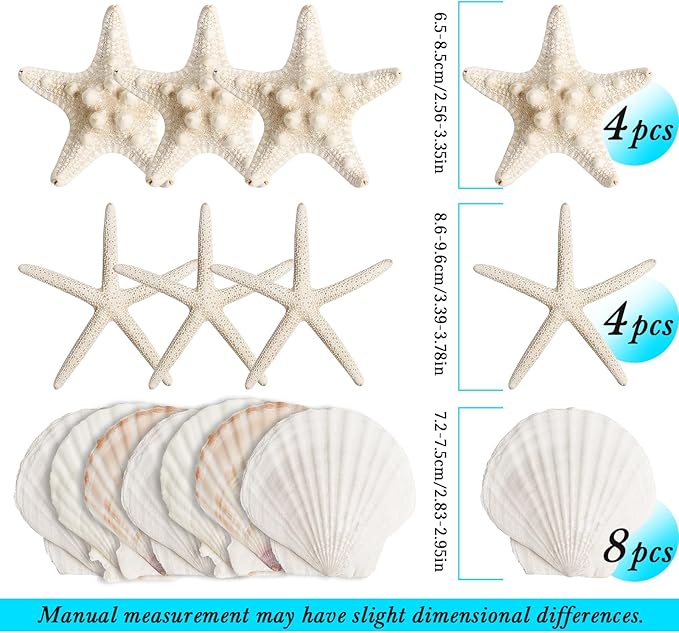 16 Pieces Starfish and Scallop Shells - Image 3