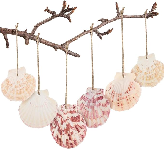 SINKOO 30PCS Scallop Shells, Natural Seashells 1.7"-2.6" by SINKOO