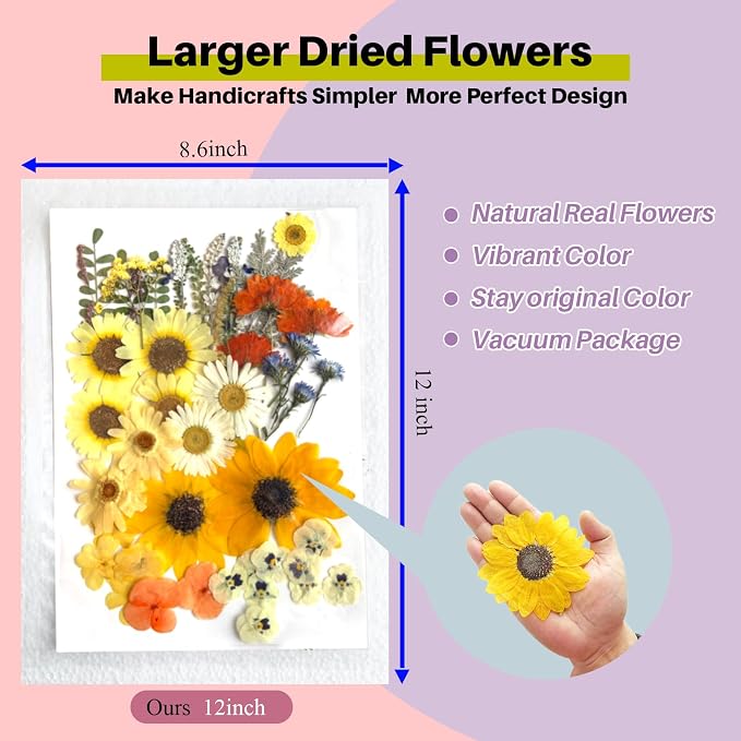 A4 Large Dried Pressed Flowers for Resin - Image 2
