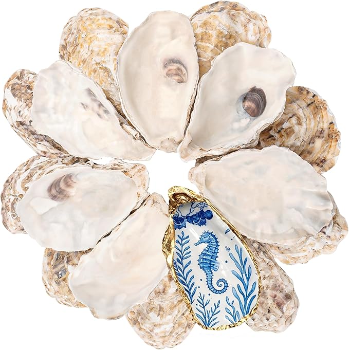 30Pcs 4-5 Inch Concave Large Oyster Shells by LAMIVORA