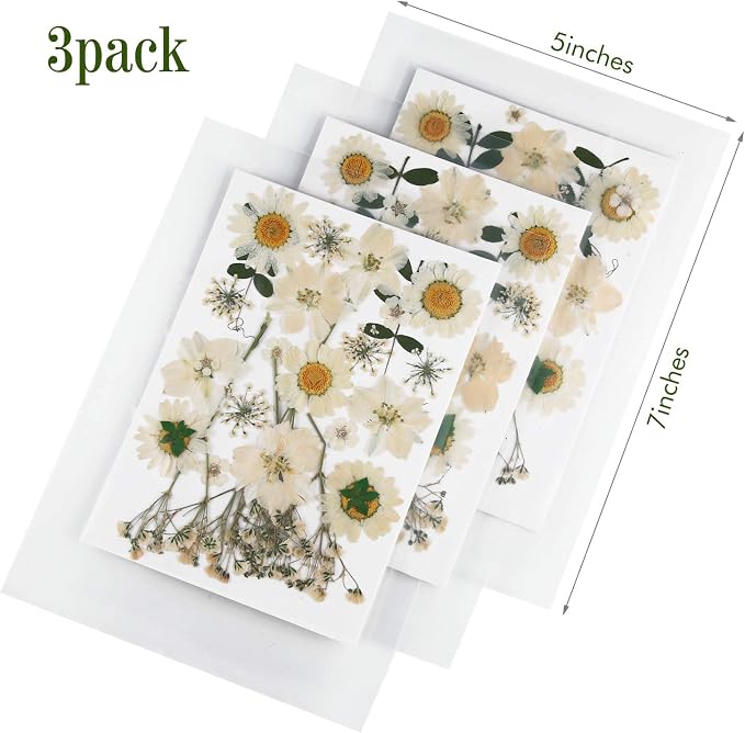 Nuanchu 81 Pieces Pressed Flowers Bulk White Dried Flowers - Image 2