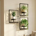 Picture Frame Wall Planters Set of 3, Modern Metal Hanging Shelves by Bbteroiu