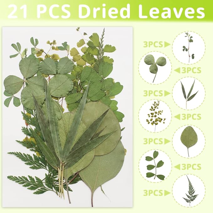 63 Pcs Real Dried Pressed Leaves Natural Assorted Dried Greenery - Image 2