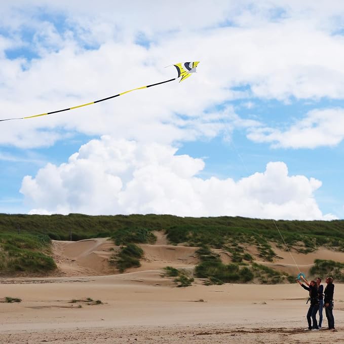Large Single Line Beach Kite for Adults - Image 4