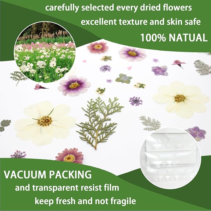 40PCS Real Nature Dried Pressed Flowers - Image 3