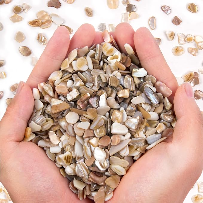 QICQDRAM Crushed Shells for Crafts About 1LB Small Natural Crushed Shells Bulk by QICQDRAM