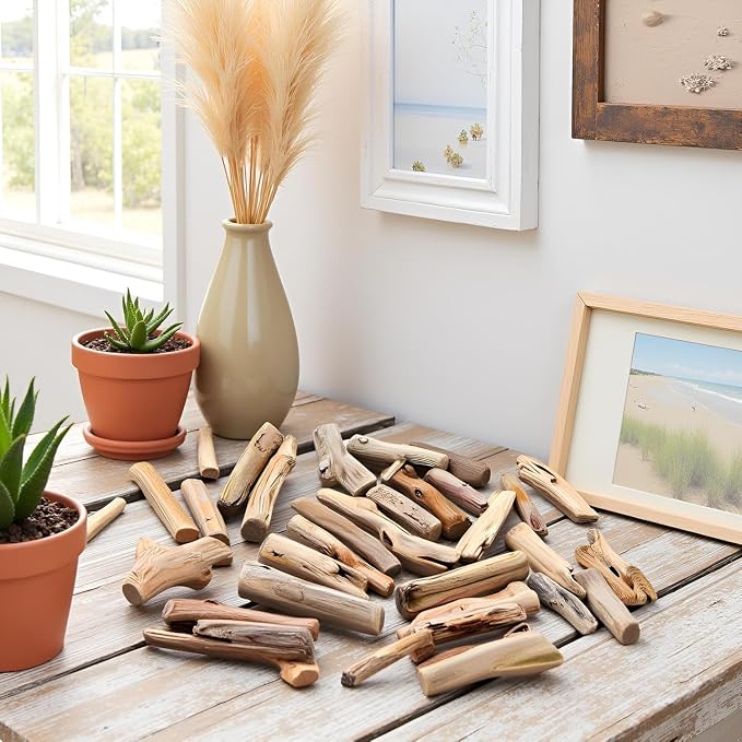 20Pcs Natural Driftwood Pieces - Image 6