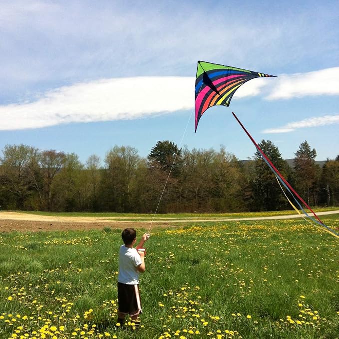 Mint's Colorful Life Delta Kite - Image 2