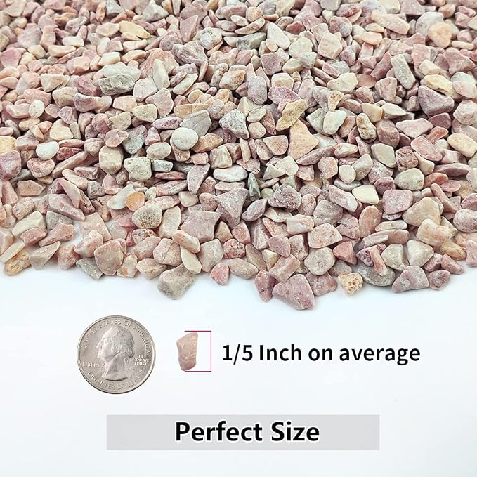 YISZM 5LB Succulent and Cactus Gravel Pebbles, 1/5 Inch Natural Decorative - Image 2
