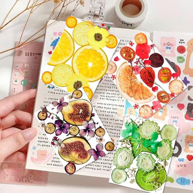 70PCS+ Nature Dried Pressed Fruits Flowers - Image 2