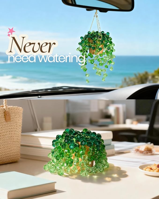 Deinduser Beaded Plant Kit, DIY Hanging Suncatcher Craft Kit - Image 6