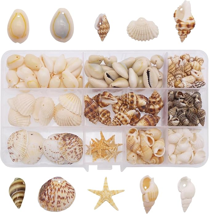 yaokan 10 Styles Natural Sea Shells & Starfish Set - Image 5