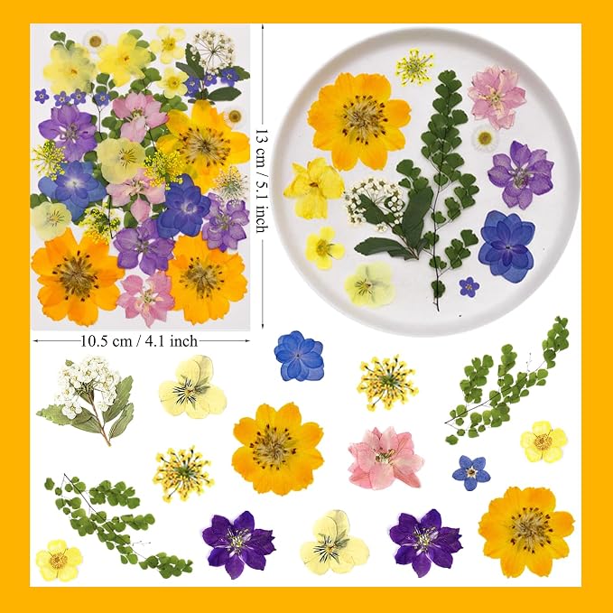 MIKIYA 34Pcs Pressed Dried Flowers - Image 6