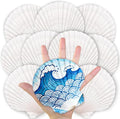 ReePlan 10PCS Large Scallop Shells by Unknown