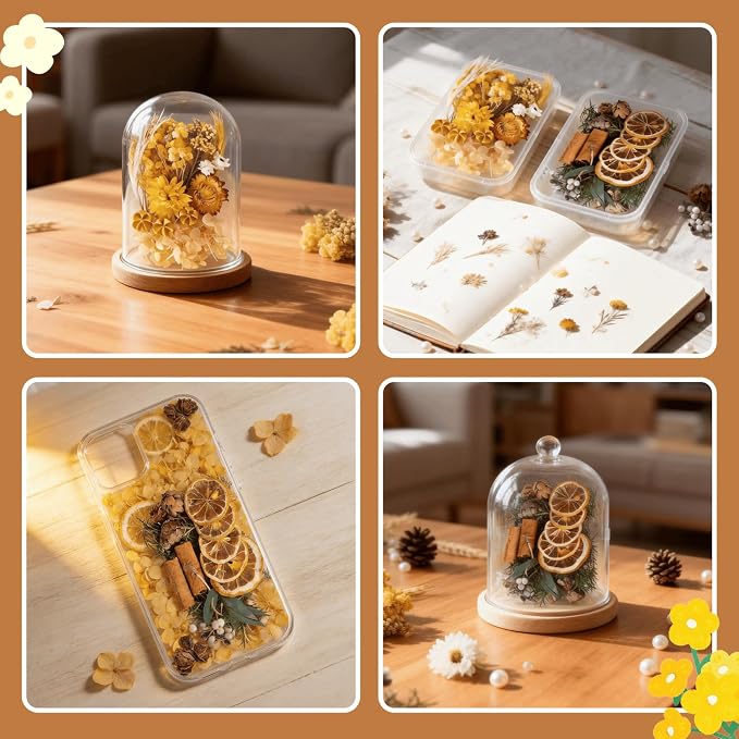 2PCS Dried Flowers Kit, Natural Dried Flowers Kit - Image 4
