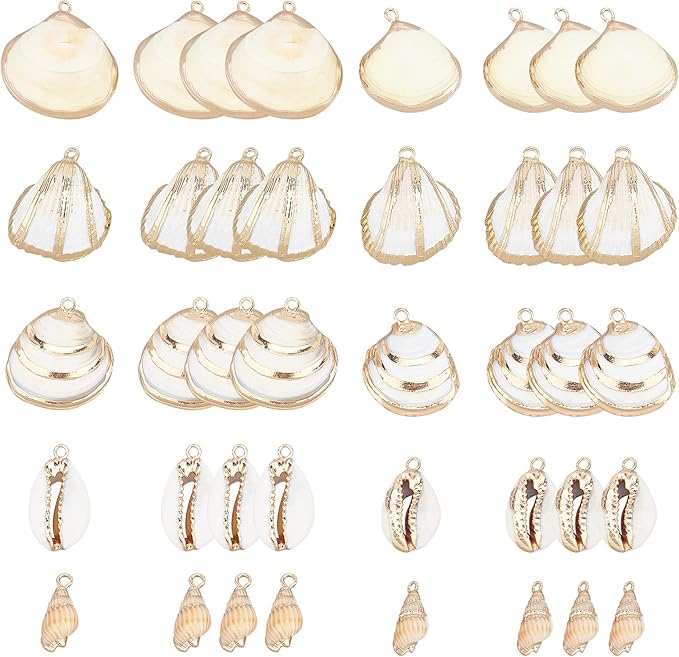 SUNNYCLUE 1 Box 20Pcs 5 Styles Freshwater Shell Charms Ocean Beach Cowrie by SUNNYCLUE
