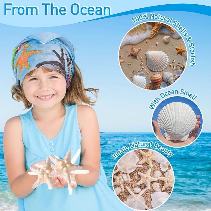 24PCS Sea Shells for Crafts Decoration - Image 4