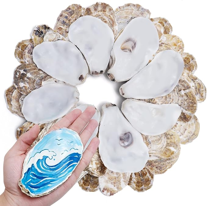 30PCS 4"-5" Flat Oyster Shells, Large Natural Oyster Shells by DOODLEBEAN