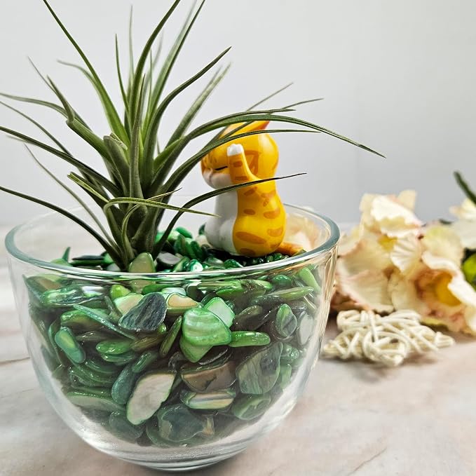 Natural Crushed Shells Chips Irregular Mother of Pearl Seashell Fragments Sea - Image 3