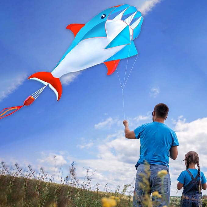HENGDA KITE 3D Kite for Kids and Adults, Excellent Fabric and Structure - Image 2