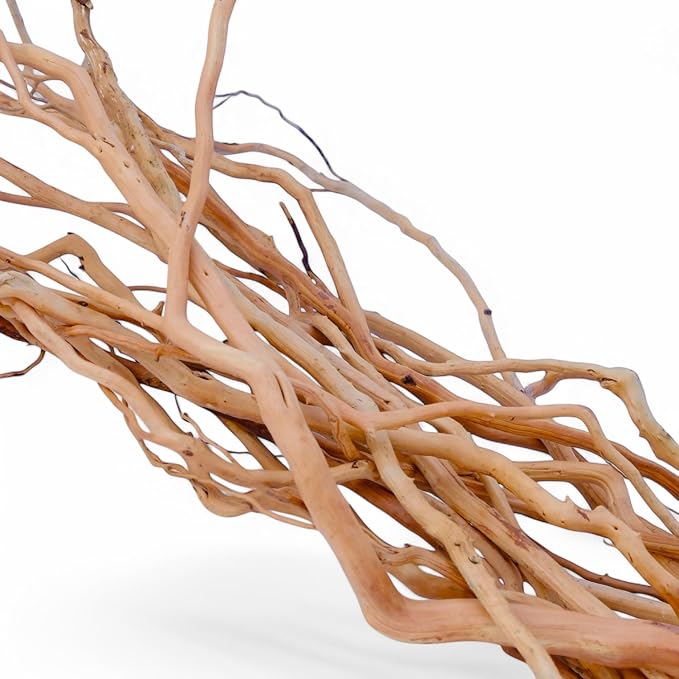 Azil Natural Aquarium Driftwood Root – Driftwood by AzilDriftwoodforAquarium