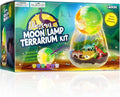 LAOESE Dinosaur Terrarium Kit for Kids by Laoese