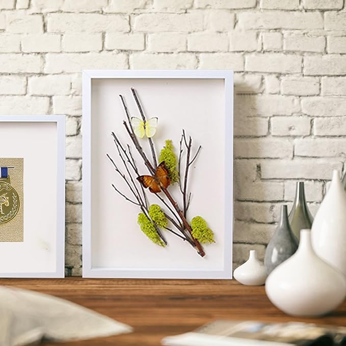 8.5x11 Shadow Box Frame Display Case - Image 3