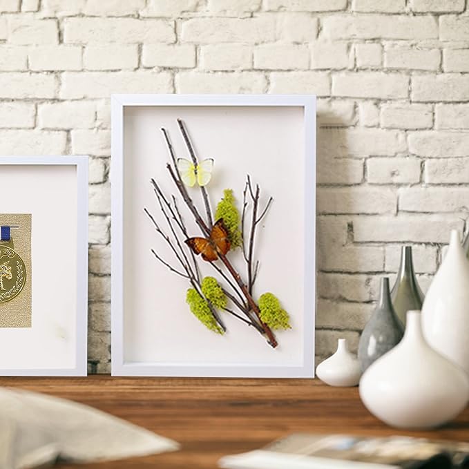 8.5x11 Shadow Box Frame Display Case - Image 4