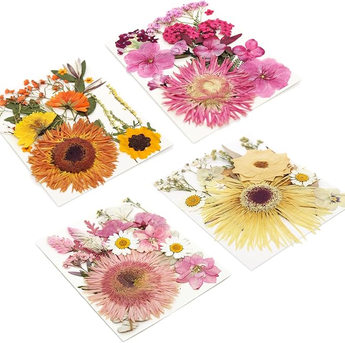 34 Types 60PCS Real Dried Pressed Flowers Leaf Plant Herbarium - Image 7