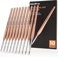 Nicpro Detail Paint Brushes 10 PCS Aesthetic Fine Tip Professional Miniature by Nicpro