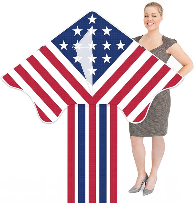 Large Single Line Beach Kite for Adults by Kaiciuss