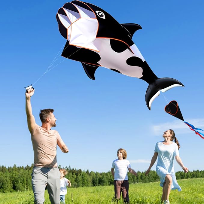 HENGDA KITE 3D Kite for Kids and Adults, Excellent Fabric and Structure - Image 2