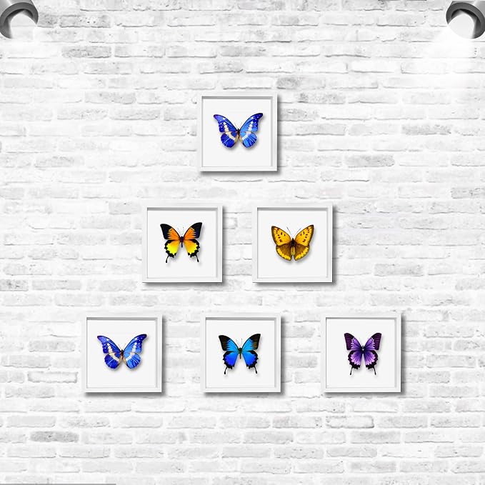 5x5 Small Shadow Box Frame Display Case, Display Case Box - Image 6