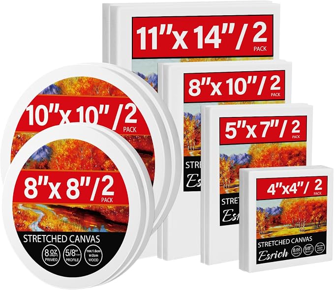 12 Pack Stretched Canvases for Painting, Round Canvas by ESRICH
