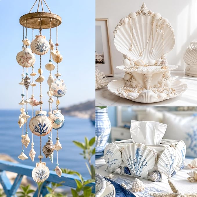 20Pcs 4-5 Inch Large Scallop Shells - Image 6