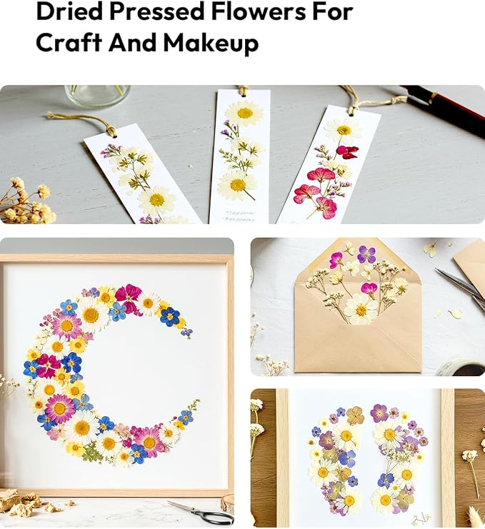 Dried Flowers, Resiners 100Pcs Pressed Flowers - Image 8