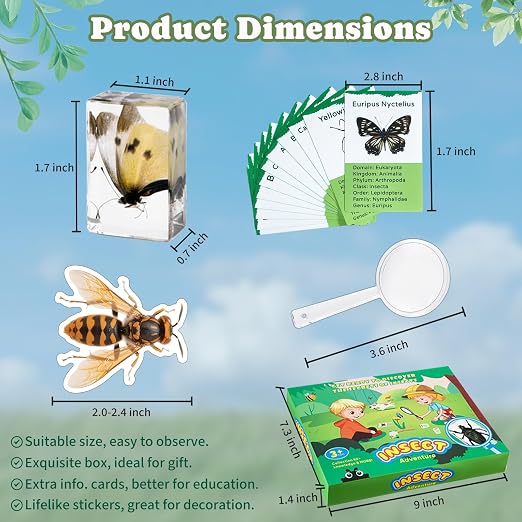 12 PCS Real Insect Resin Specimen, Science Education Bug Collection | Preserved - Image 3