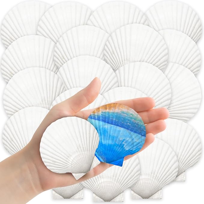 YUJUN 32PCS Natural Scallop Shells by YUJUN