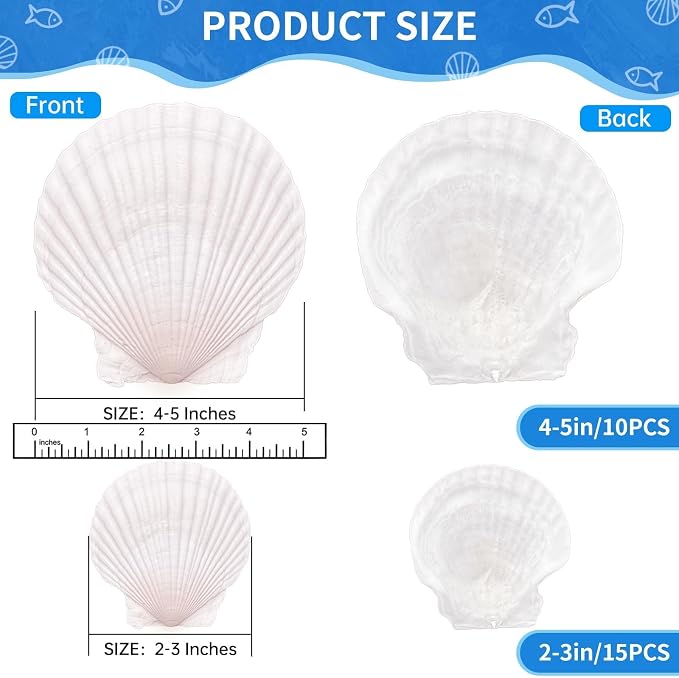 25PCS Large Scallop Shells for Crafts, Decorating, Ocean Themed Party Supplies - Image 2