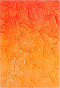 3D Embossing Folder for Card Making Maple Leave Background Plastic Embossing by CYFUNDESIGN