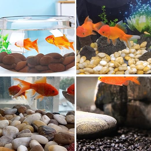 YISZM Rocks for Plant 5lbs, High Polished Decorative Stones Vase Filler Fish - Image 6