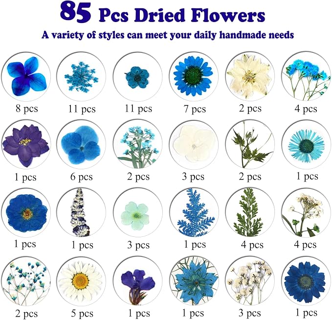 85 Pcs Blue Pressed Dried Flowers - Image 4